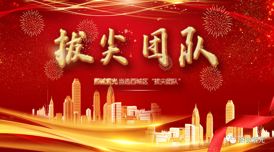 “拔尖團隊”！就是熙誠紫光